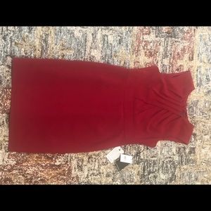 NWT Adrianna Papell Dress